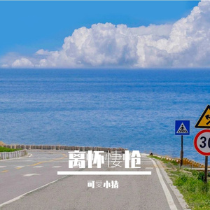 孤舟漂泊