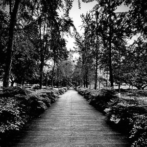 MDF2 (money bag freestyle)