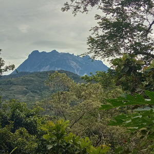 Hutang