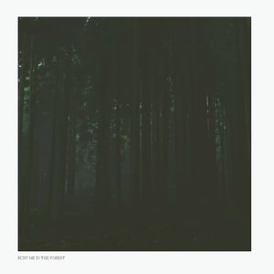 bury me in the forest