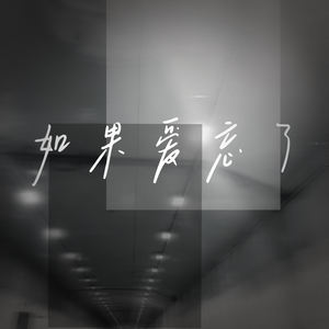 不能给我的请完整给她