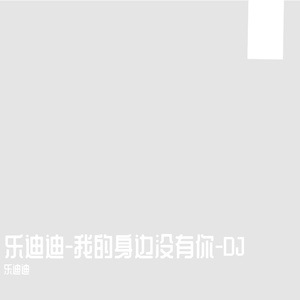 我的身边没有你-乐迪迪DJ