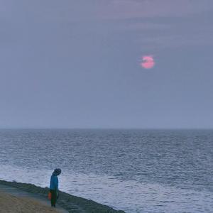 请wings战队挑选英雄