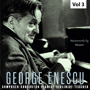 Violin Concerto No. 4 in D Major, K. 218:III. Rondo. Andante grazioso (Live)