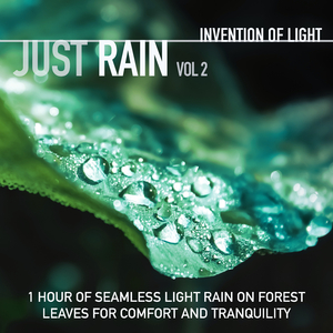 Rain Drop White Noise