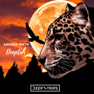 Ohh Synthx (Original Mix)