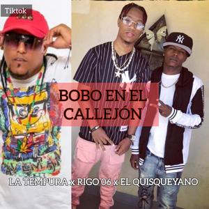 Bobo En El Callejón (feat. El quisqueyano & La Tempura) (Moiswager Remix)