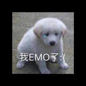 我EMO了
