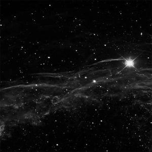 萤火虫点亮夜的星光