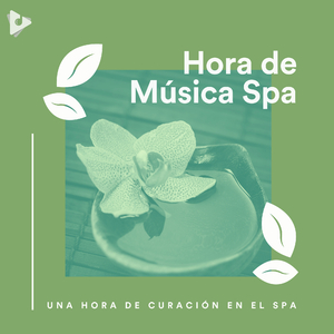 Conéctate contigo mismo