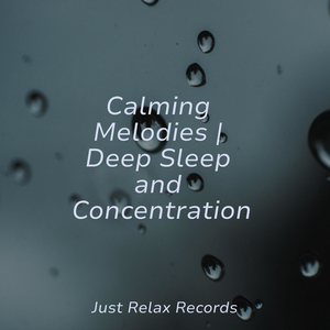 Whispers of the Quiet Wood