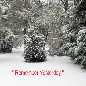 The Slow Country Waltz