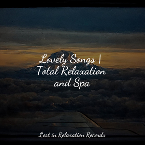 In the Stellar Company