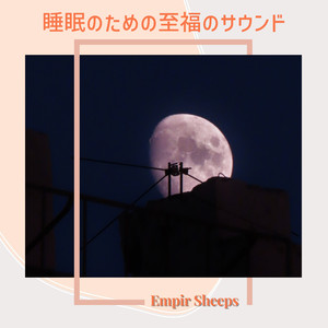 A Sleep of Slow Dreams