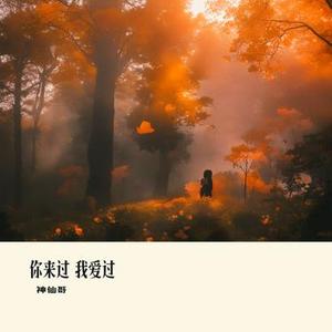 你来过 我爱过