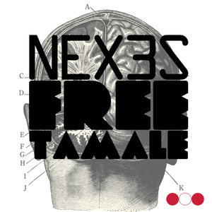 Tamale (Original Mix)