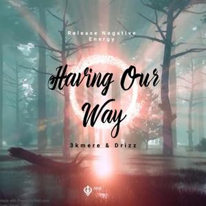 Having Our Way (feat. Drizz)