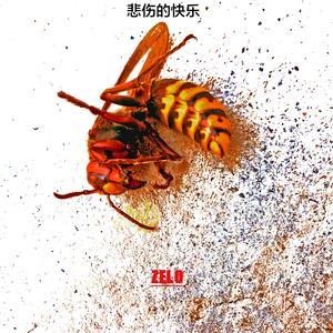 悲伤的快乐