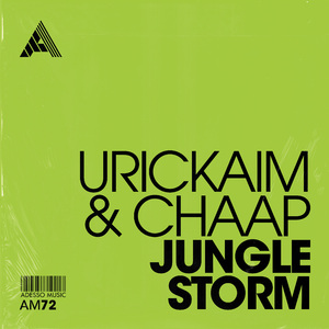 Jungle Storm (Extended Mix)