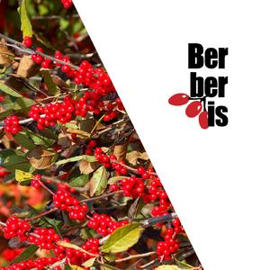 Unanime (Original Mix)