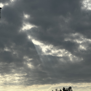 2056下一世没有轮回