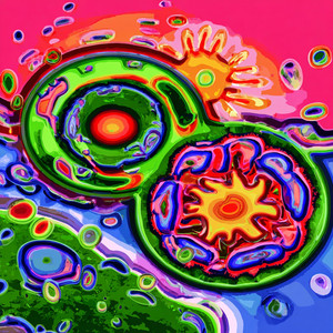 Crossfade Corner Lounge