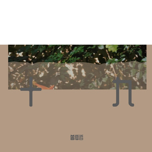 爱你的我十八岁