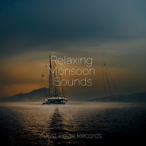 Desert's Secret Solace