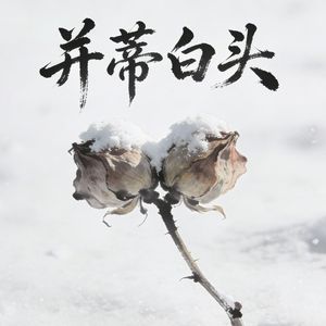 并蒂白头