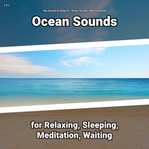 Ocean Sounds Sleep Aid