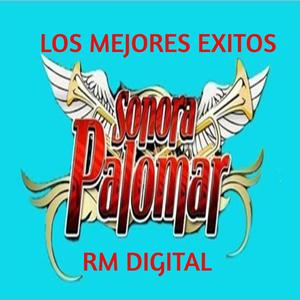 Apagame la vela
