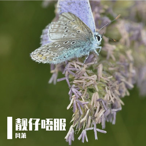 靓仔