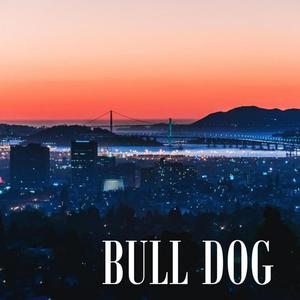 Bull Dog