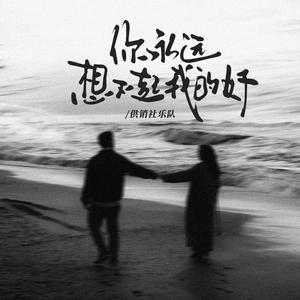 你永远想不起我的好
