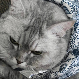 情绪牵动（Prod.Eee.T&Bickyboy)