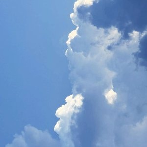 试着在天中翱翔