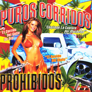 El Duplicado