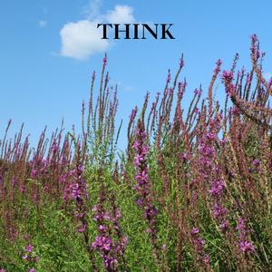 THINK