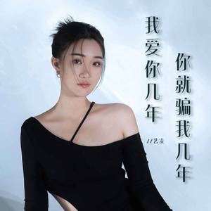 我爱你几年你就骗我几年 (DJ豪大大版)