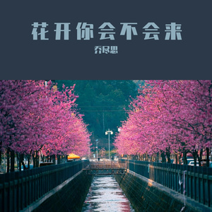 花开你会不会来 伴奏