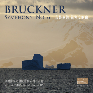 第一乐章 庄严的（Symphony No. 6 in A Major, WAB 106 (Ed. L. Nowak): I. Majestoso）