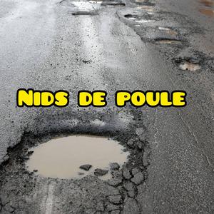 Nids de poule