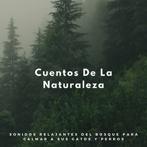 ¡Música 4 Perros!