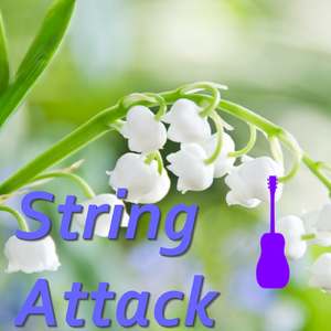 Concerto for Piano and Orchestra in D major, No 2: III