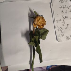 假装1
