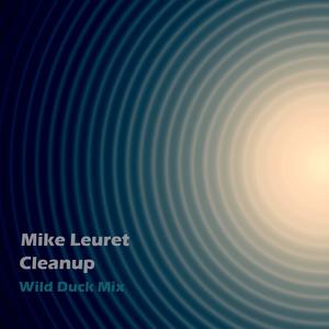 Cleanup (Wild Duck Mix)