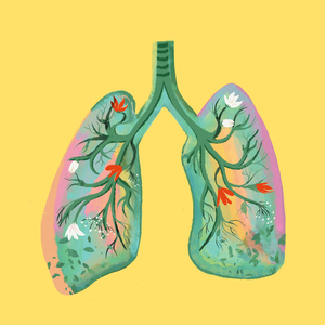 Полными лёгкими