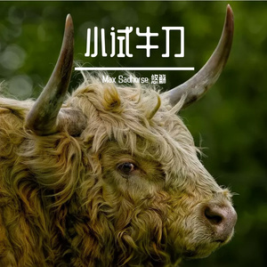 发音课上写的Rap