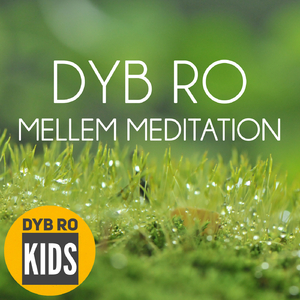 Mellem Meditation - Kap 2