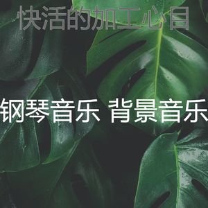 一尘不染咖啡店印象数